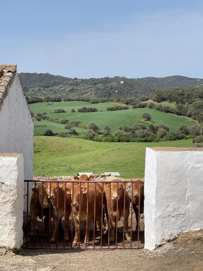Casa Rural Bini Aumaia Es Mercadal Exterior photo